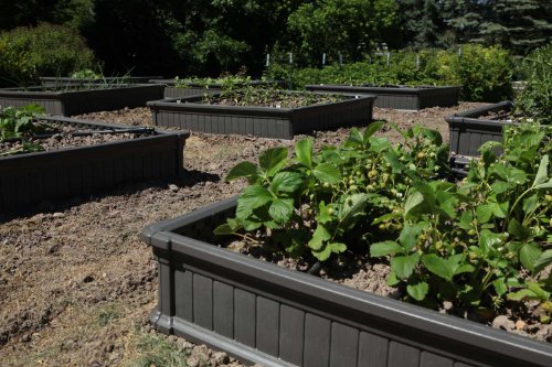 Lifetime Raised Garden Bed Kit - Image 7