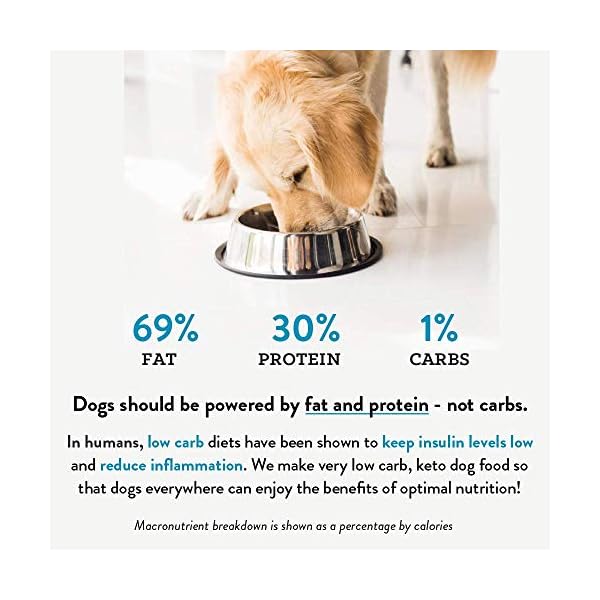 Visionary Pet Foods High Protein Dry Dog Food Low Carb Natural Beef Flavored Kibble