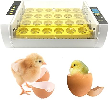 WIDEN 24 Egg Incubator Hatcher Digital Clear Temperature Control Chicken Duck Egg Bird Goose Poultry Hatch Hatcher