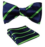 SetSense Men's Stripe Jacquard Woven Self Bow Tie Set One Size Green / Blue