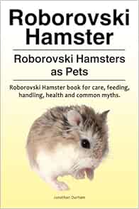 roborovski hamster near me