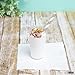 Ilyapa 3oz Plastic Dessert Cups - 50 Pack Mini Dessert Cups with Spoons - Clear Reusable Small Appetizer Cup for Cheesecake Shooters, Chocolate Mousse, Parfait - Party and Catering Supplies - Round