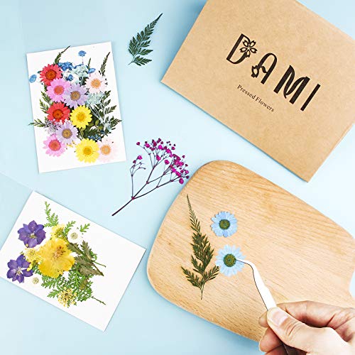Real Dried Pressed Flowers and Leaves - 73pcs Mixed Multiple Dry Flower and Leaf with Tweezer for DIY Candel Resin Jewelry Nail Pendant Crafts Art Floral Decoration