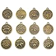 NP Supplies Zodiac Charms Antique Bronze Tone Set of 12 Double Sided Bronze Tone 20x18mm (NS586)