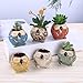 ROSE CREATE 6 Pcs 3 Inches Owl Pots, Little Ceramic Succulent Owl Planters with Drainage Holes - (Big Smile Owls)