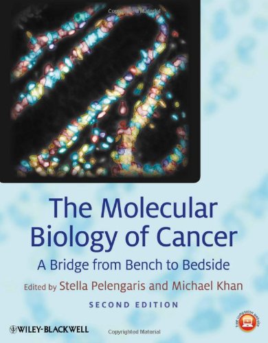 The Molecular Biology of Cancer:  A Bridge from Be nch to Bedside