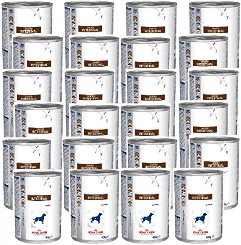 gastro intestinal 400g