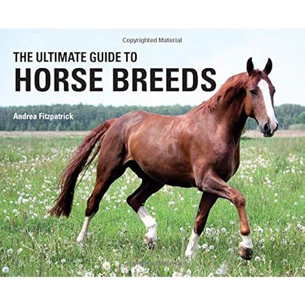 The Ultimate Guide To Horse Breeds Fitzpatrick Andrea Houghton Kit 9780785834670 Amazon Com Books