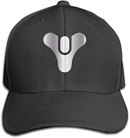 Destiny (2) Platinum Logo Adjustable Baseball Hat