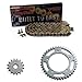 2008-2015 BMW F800GS O-Ring Chain and Sprocket Kit - Gold