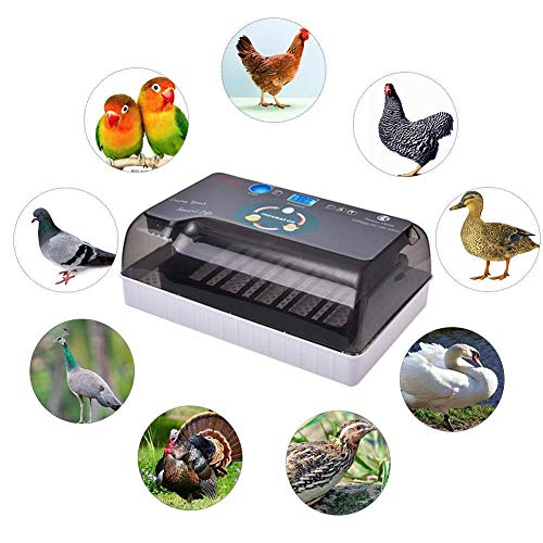 WLDOCA Vollautomatische Brutmaschine 12 Eier Digitale Inkubatoren, LED-Anzeigen Temperaturregelung Automatisches Drehen… – Bild 4