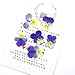 Xinhongo 50 Pcs Real Pansy Pressed Dried Pressed Flowers for Art Craft DIY Preserved Flower Decorations Resin Jewelry Pendant Crafts DIY Cards Making