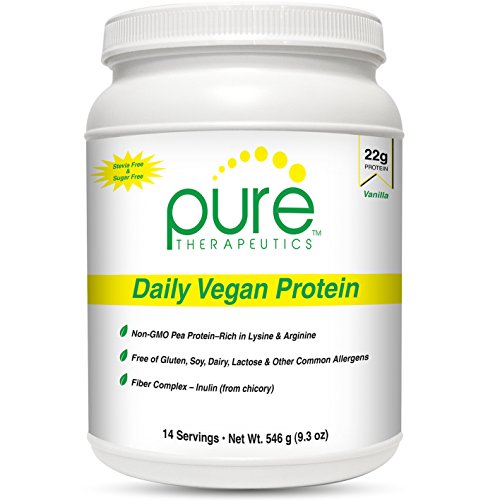 vegan protein no sugar buyer's guide Chuumon Reviews