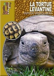 La  tortue levantine