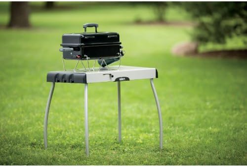 Weber Goanywhere Gas Grill Amazon Co Uk Garden Outdoors