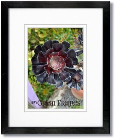 SET of 2 - 12x16 Black Wood Picture Frames and Glass with Double White Mats for 9x12.