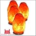 Windsor Seasons Hand Crafted Natural Large 9-Inch Crystal Himalayan Salt Lamp with Neem Wood Base, 6-Feet Cord, Dimmer Switch and Bulb