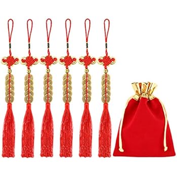 6 Pieces Chinese Lucky Coins Feng Shui Coins Knot Emperor Lucky Coins I-Ching Fortune Coin and Storage Bag for Good Luck and Healthy