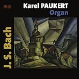 ORGAN                                              image