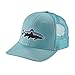 Patagonia Fitz Roy Trout Trucker Hat