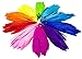 Bastex Colorful Assorted Goose Craft Feathers 350 pcs. 10 Colors, 4 to 6 inches in Length. Great for Decorative Arts and Crafts, Classrooms, Dreamcatcher and Party Decorations.