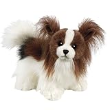 Webkinz Papillon