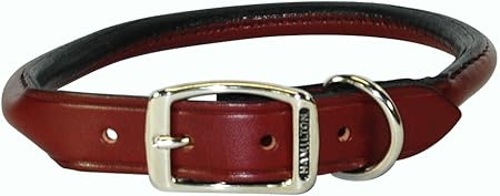 amazon rolled leather dog collar