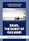 Livro Brain, the robot of our Mind: A model and vision about robots and their future
