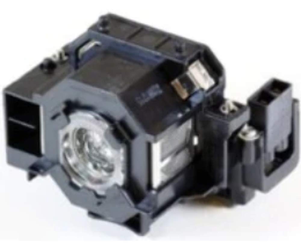 MicroLamp ML10252 170W projector lamp - projector lamps (Epson, Epso
