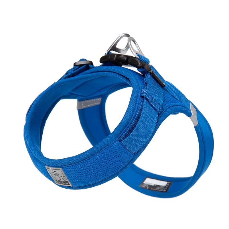 WINHYEPET Truelove Dog Harness Soft Mesh Reflective Breathable Step-In Dog Harness,Easy Adjustment Harness with Safety Buckle for Extra Small and Small Dogs, Vest Harness TLH3013(Royal Blue,2XS)