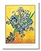 Vincent Van Gogh Irises Vase Flower Wall Picture Framed 8x10 Art Print (Black)