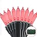 Lalapao Outdoor String Lights M5 Battery Operated Xmas Lights 100 LED Clear Mini Christmas Lighting Decor Timer for Indoor Tree Patio Lawn Garden Home Party Holiday Wedding Decorations (Red)
