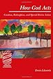 How God Acts: Creation, Redemption, and Special Divine Action (Theology and the Sciences)