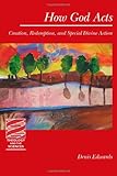 How God Acts: Creation, Redemption, and Special Divine Action (Theology and the Sciences)