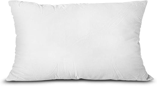 Amazon Com Edow Throw Pillow Insert Lightweight Soft Polyester