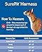 PetSafe Sure-Fit Harness, Adjustable Dog Harness from The Makers of The Easy Walk Harness