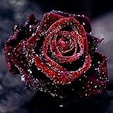 Smartcoco 5D DIY Diamond Painting Red Rose Wall Sticker 3D Diamond Mosaic Cross Stitch Embroidery 30X30CM