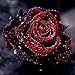 Smartcoco 5D DIY Diamond Painting Red Rose Wall Sticker 3D Diamond Mosaic Cross Stitch Embroidery 30X30CM