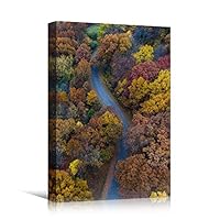 Canvas Wall Art Autumn Dramatic Forest Landscape Living Room Orange Photography Rustic - 12x18 inches