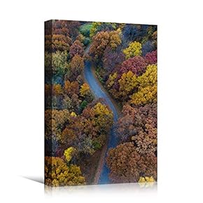 signwin Canvas Wall Art Autumn Dramatic Forest Landscape...