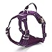 INVENHO Dog Life Jacket Ripstop Dog Safety Vest Adjustable Preserver with High Buoyancy and Durable Rescue Handle for Small, Medium, Large Dogs(L,Purple)