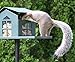 Erva Peanut Pantry Squirrel Feeder - Heavy Duty Steel - Premium Verdigris Finish - Made in USA (SQF1)