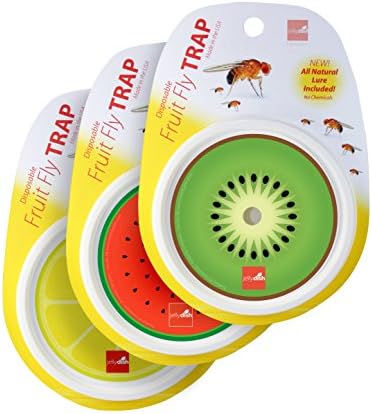 JellyDish 3 Piece Disposable Fruit Fly Traps New Controls Fruit Flies Upto 30 Days All Natural Lure Included