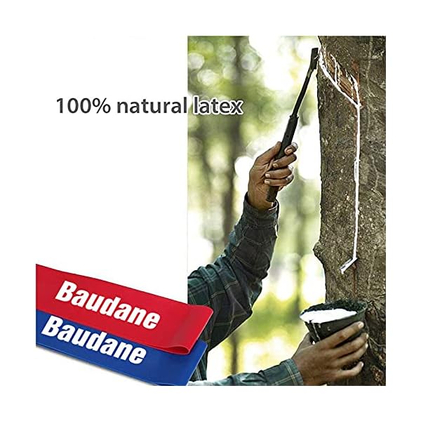 Baudane-Resistance-BandsSet-of-5-Skin-Friendly-Resistance-Band-Fitness-Exercise-Loop-Bands-with-5-Different-Levels-Elastic-Band-for-Home-Gym-Training-ArmsLegsPilatesYoga-Free-Carrying-Case-Included Resistance Bands,Set of 5 Skin-Friendly Resistance Band, Fitness Exercise Loop Bands with 5 Different Levels Elastic…