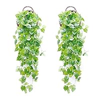 Aukuzi Artificial Plants Vines Fake Evergreen Vine Fidelity Plastic Plants for Indoor&Outdoor Wall Decora Wedding Garden Home Hanging Green Plants-2PCS 3.3FT (Grape Leaves)
