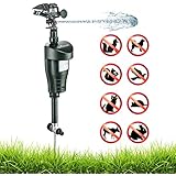 Activated Motion Sensor Water Sprinkler Animal Repellent – Ultra Humane &amp; Safe Way of Scaring Away Wild Animals – Cats, Dogs, Birds, Squirrels, Etc. – Effective Motion Detector Sprinkler – Metal Stake