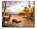Rustic Home Hunting Wall Decor - 4 Piece Deer Quote Set - Art Prints Decorations Painting for Bedroom, Man Cave, Hunting Room, Kitchen, Basement, Bathroom, Farmhouse, Shelf, Living Room, Desk, Office