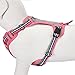 Blueberry Pet 9 Colors Soft & Comfy 3M Reflective Multi-Colored Stripe Mesh Padded No Pull Dog Harness Vest with Back Leash Clips, Large, Pink, Emerald & Orchid