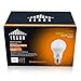 Leson 100 Watt Equivalent A19 Globe LED Light Bulb Standard E26/E27 Base 13W Energy Saving, Soft/Warm White 2700K (6 Pack)