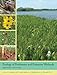 Ecology of Freshwater and Estuarine Wetlands